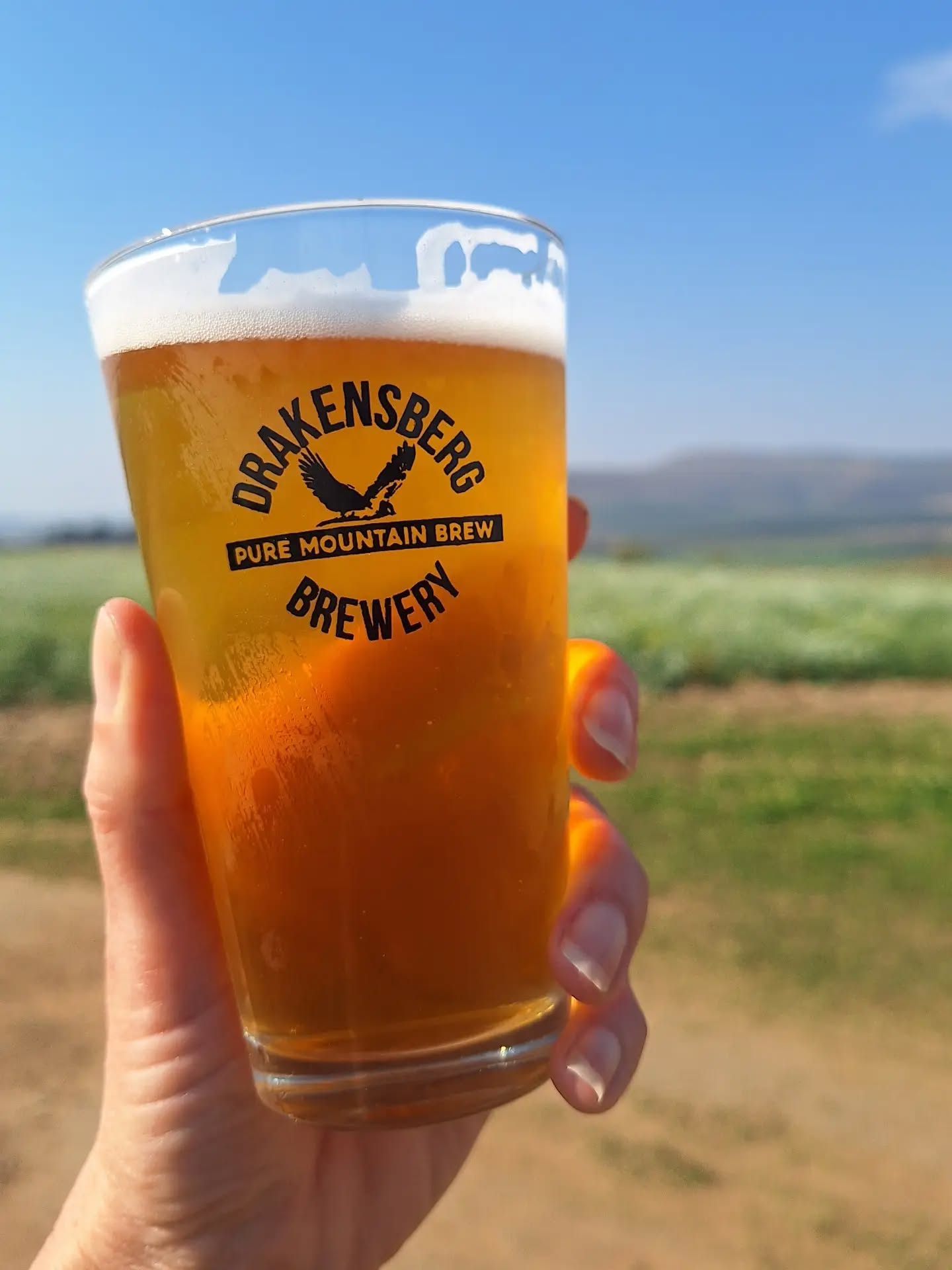Glass of Drakensberg Brewery beer with farmland behind