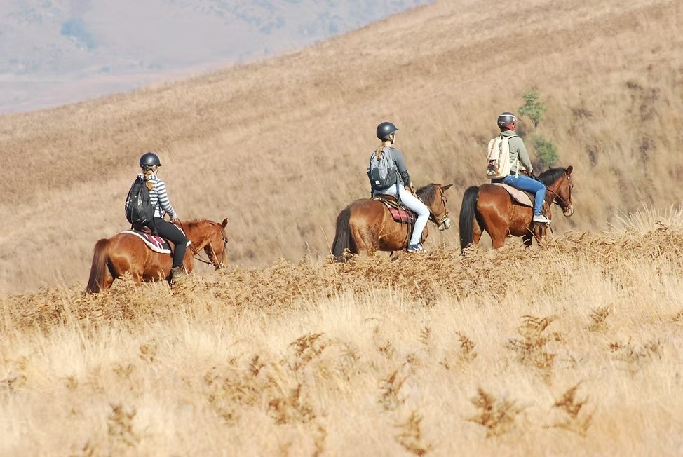 Horse riders on a trail in the Champagne Valley