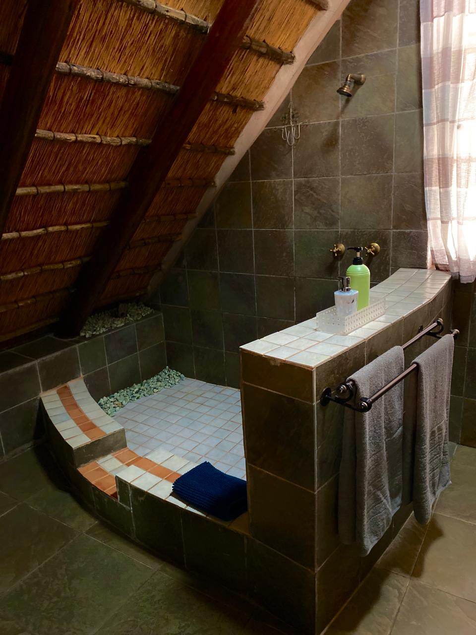 Ingwe cabin en-suite shower