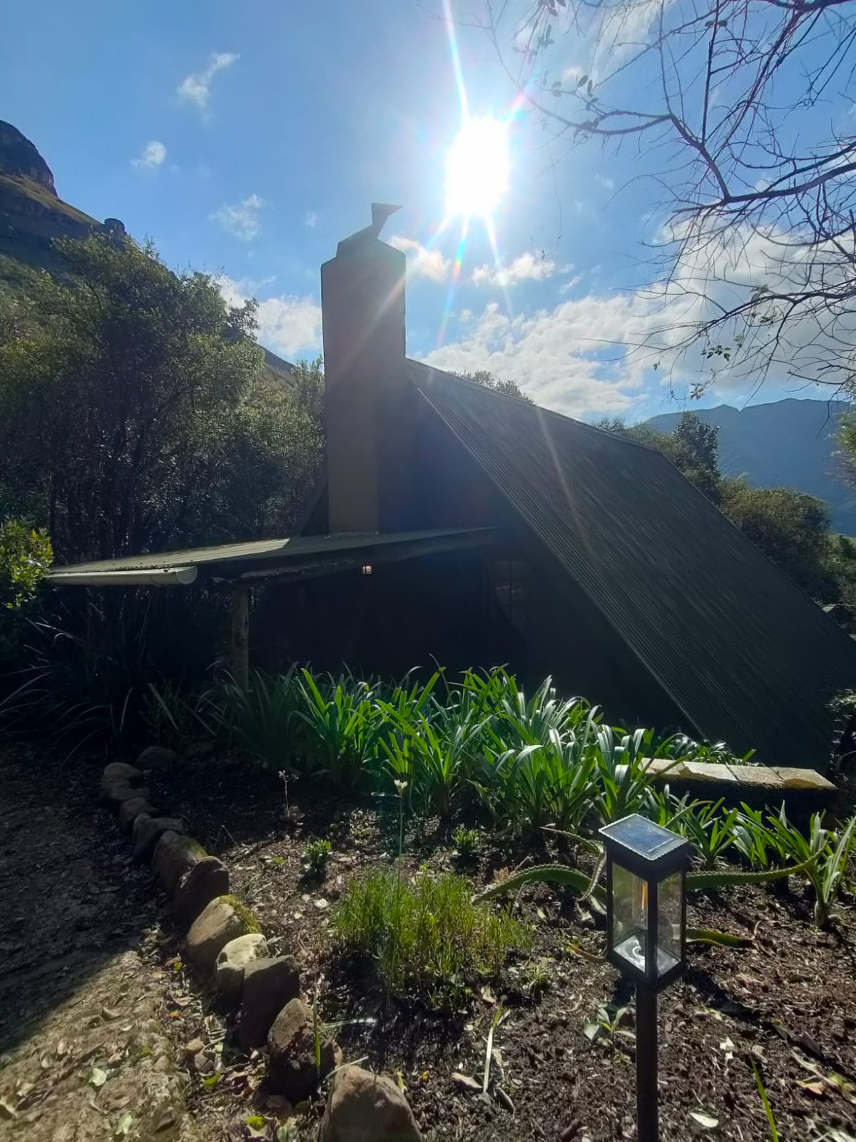 Ingwe cabin exterior in the forest